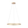 Suspension Leuchten-Direkt RITUS LED Laiton, 1 lumière