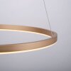 Suspension Leuchten-Direkt RITUS LED Laiton, 1 lumière