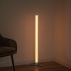 Lampadaire Leuchten-Direkt RINGO LED Argenté, 1 lumière, Télécommandes, Changeur de couleurs