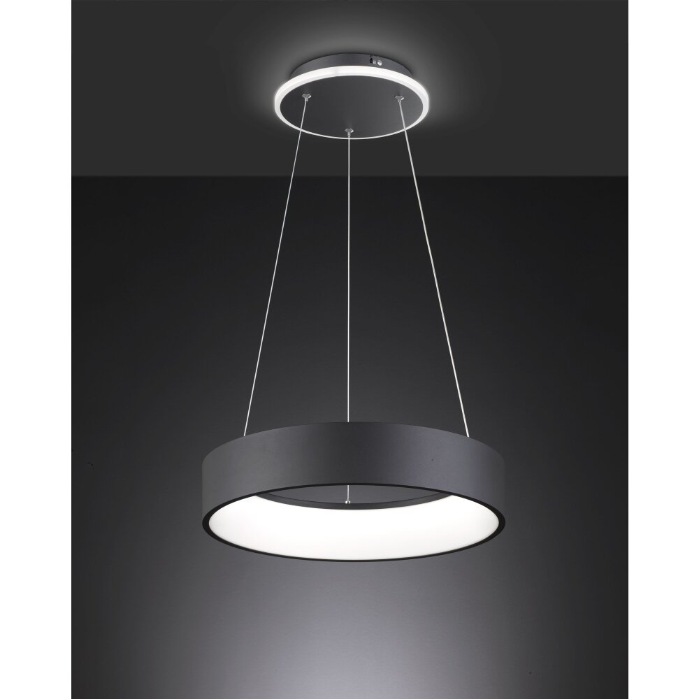 Suspension Wofi-Leuchten SHAY LED Noir, 1 lumière main product photo
