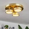 Plafonnier  Huallilemu LED Laiton, 3 lumières