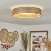 Plafonnier  Quintinha LED Blanc, 1 lumière