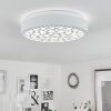 Plafonnier  Agodim LED Blanc, 1 lumière