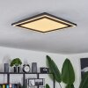 Plafonnier  Audrieu LED Noir, 2 lumières