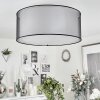 Plafonnier  Cerdedo Blanc, 3 lumières