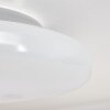 Plafonnier  Ral LED Argenté, Blanc, 1 lumière, Télécommandes, Changeur de couleurs
