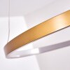 Suspension Canisteo LED Or, 1 lumière