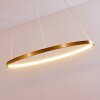 Suspension Canisteo LED Or, 1 lumière