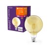 LEDVANCE Smart+ LED E27 6 watt 2400 kelvin 680 lumen