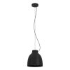 Suspension Eglo CAMASCA Noir, 1 lumière