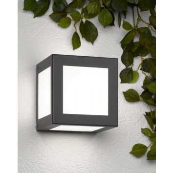 Applique murale CMD Aqua Cubo Anthracite, 1 lumière