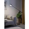 Lampadaire Eglo CLAVELLINA LED Noir, 1 lumière