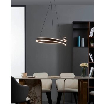 Suspension Eglo ANDABAIA-Z LED Noir, 1 lumière