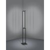 Lampadaire Eglo SIBERIA LED Noir, 1 lumière, Télécommandes