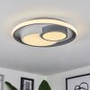 Plafonnier  Casqueira LED Gris, Blanc, 1 lumière