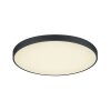 Plafonnier Trio Waco LED Noir, 2 lumières