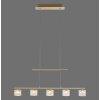 Suspension Paul Neuhaus HYDRA LED Laiton, 5 lumières