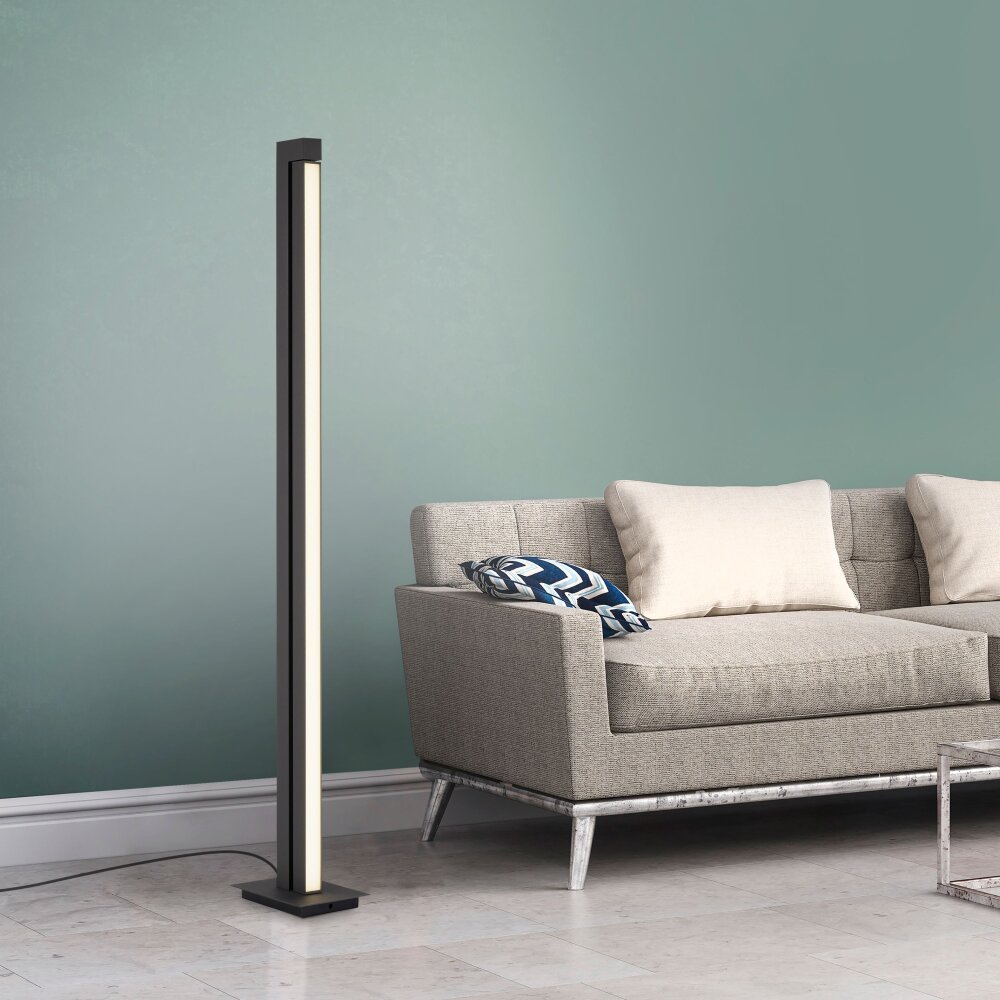 Lampadaire Paul Neuhaus PURE-LINES LED Anthracite, 1 lumière, Télécommandes main product photo
