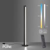 Lampadaire Paul Neuhaus PURE-LINES LED Anthracite, 1 lumière, Télécommandes