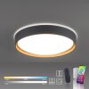 Plafonnier Paul Neuhaus Q-EMILIA LED Gris, Couleur bois, 1 lumière, Télécommandes