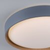 Plafonnier Paul Neuhaus Q-EMILIA LED Gris, Couleur bois, 1 lumière, Télécommandes