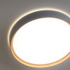 Plafonnier Paul Neuhaus Q-EMILIA LED Gris, Couleur bois, 1 lumière, Télécommandes