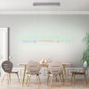 Suspension Leuchten-Direkt FELIX60 LED Acier brossé, 2 lumières, Télécommandes, Changeur de couleurs