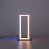 Lampe de table Leuchten-Direkt FELIX60 LED Acier brossé, 2 lumières, Télécommandes, Changeur de couleurs