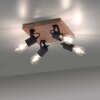 Plafonnier Leuchten-Direkt CANOP Écru, Noir, 4 lumières