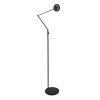 Lampadaire Steinhauer Soleil LED Noir, 1 lumière