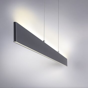 Suspension Paul Neuhaus NILA LED Anthracite, 2 lumières, Télécommandes