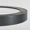 Suspension  Areja LED Anthracite, Blanc, 1 lumière