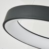 Suspension  Areja LED Anthracite, Blanc, 1 lumière