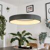 Suspension  Areja LED Anthracite, Blanc, 1 lumière