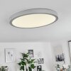 Plafonnier  Finsrud LED Argenté, 1 lumière