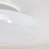 Plafonnier iDual Chloe LED Argenté, Blanc, 1 lumière, Télécommandes, Changeur de couleurs