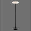 Lampadaire Paul Neuhaus Q-ETIENNE LED Noir, 1 lumière, Télécommandes