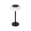 Lampe de table Paul Neuhaus Q-ETIENNE LED Noir, 1 lumière, Télécommandes