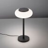 Lampe de table Paul Neuhaus Q-ETIENNE LED Noir, 1 lumière, Télécommandes