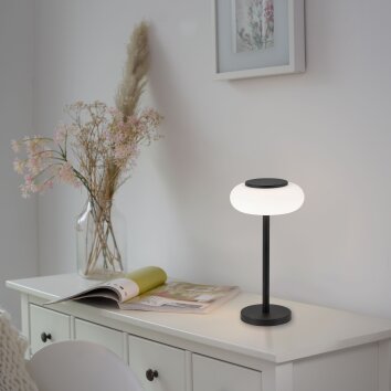 Lampe de table Paul Neuhaus Q-ETIENNE LED Noir, 1 lumière, Télécommandes