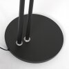 Lampadaire à vasque Steinhauer Turound LED Noir, 2 lumières