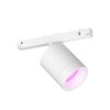 Spot Philips Hue Perifo LED Blanc, 1 lumière, Changeur de couleurs