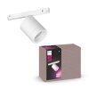 Spot Philips Hue Perifo LED Blanc, 1 lumière, Changeur de couleurs