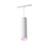 Pendule Philips Hue Perifo LED Blanc, 1 lumière, Changeur de couleurs