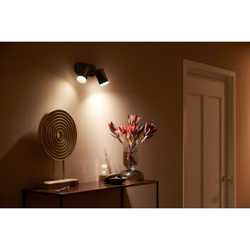 Plafonnier Philips Hue Fugato LED Noir, 2 lumières, Changeur de couleurs