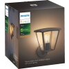 Applique murale d'extérieur Philips Hue White Inara LED Noir, 1 lumière