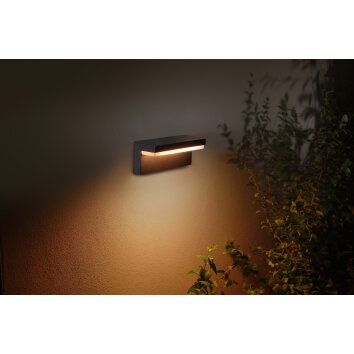 Applique murale d'extérieur Philips Hue Nyro LED Noir, 1 lumière, Changeur de couleurs