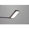 Lampadaire Trio Pavia LED Noir, 1 lumière