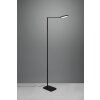 Lampadaire Trio Pavia LED Noir, 1 lumière