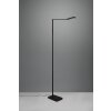 Lampadaire Trio Pavia LED Noir, 1 lumière